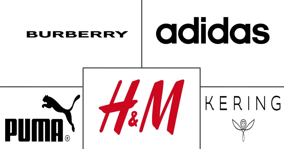 欧洲电子商务服装市场规模及份额