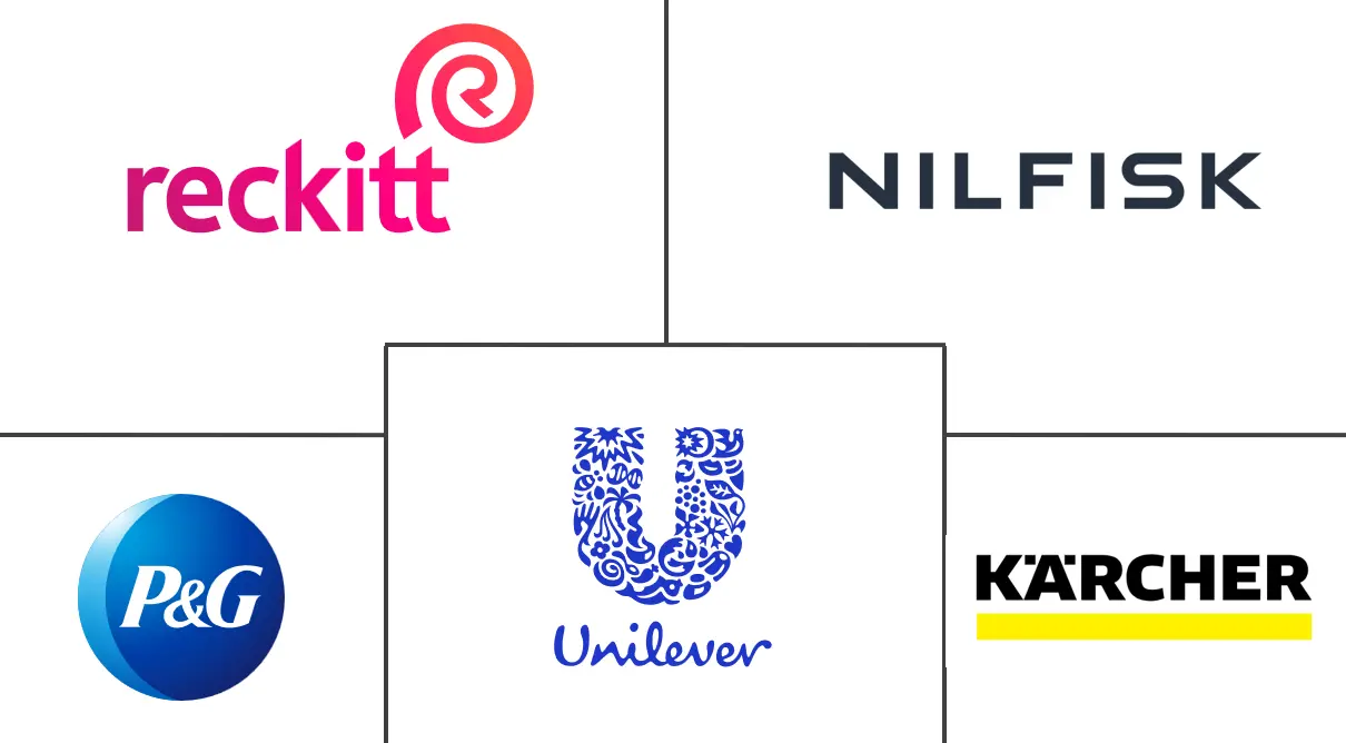 南非清洁产品市场规模和份额