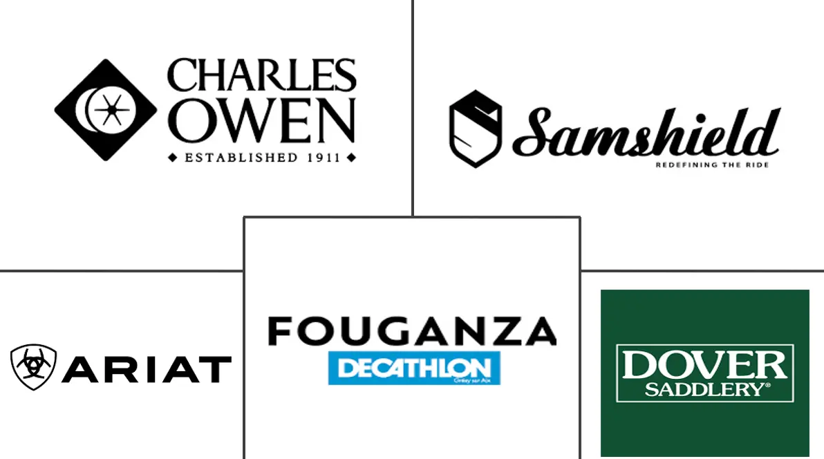 骑马装备市场规模及份额