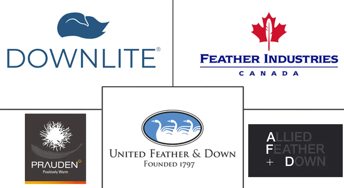 羽绒羽毛市场规模及份额