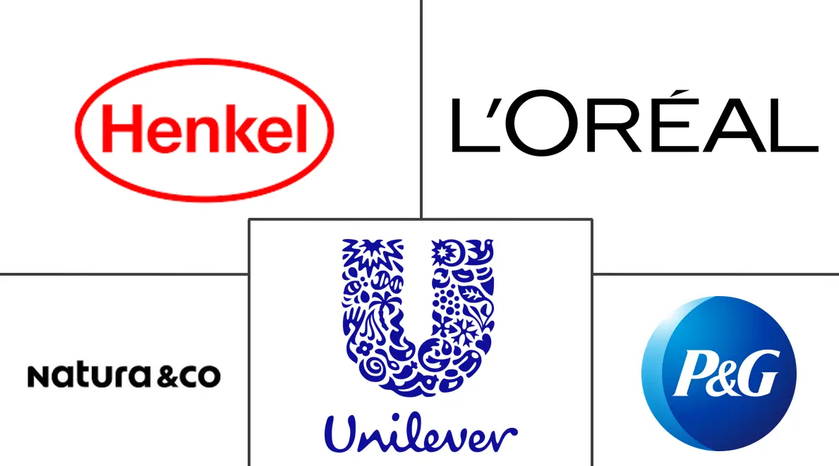 南美洲发型设计产品市场规模和份额分析