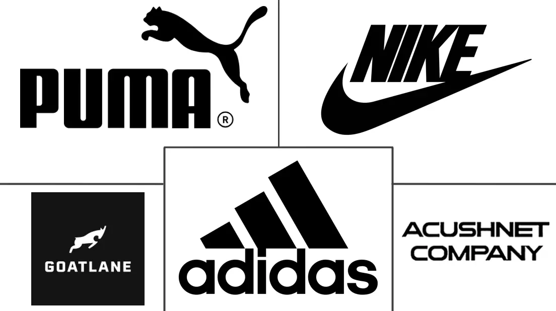 高尔夫球鞋市场规模和份额