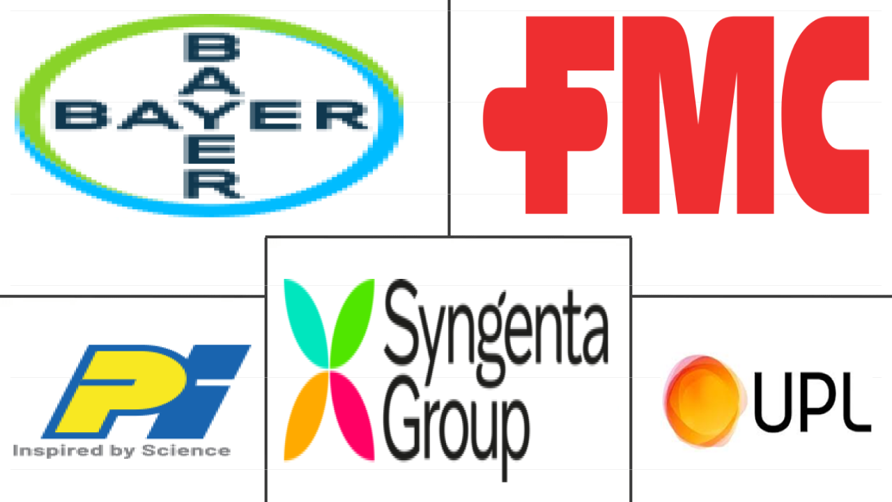 印度种子处理市场规模和份额