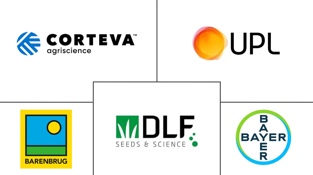 巴西饲料种子市场规模和份额