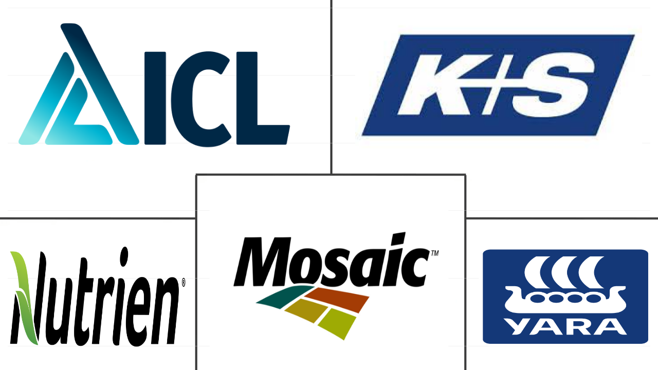 南美化肥市场规模