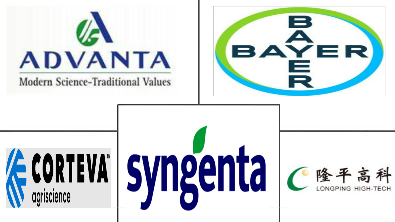 亚太种子市场规模