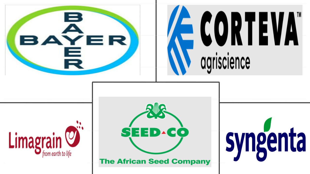 非洲谷物种子市场规模