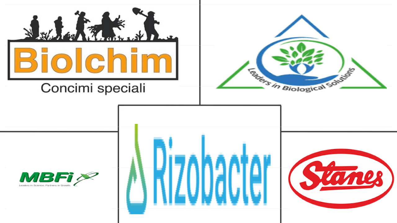 非洲生物肥料市场规模