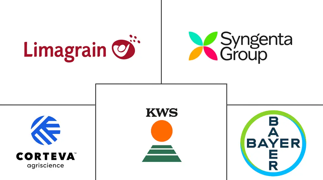 欧洲谷物种子市场规模和份额