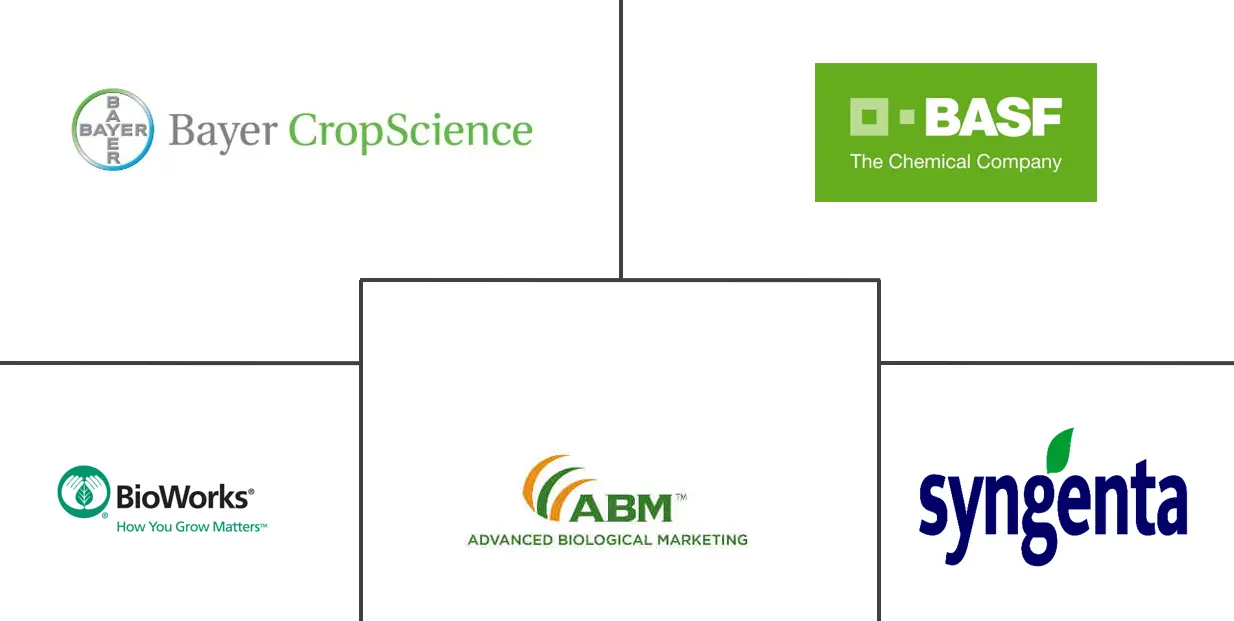 北美玉米种子处理市场规模