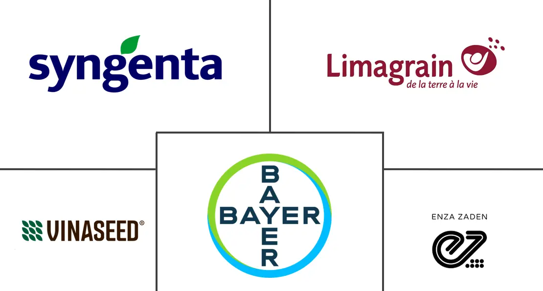 越南蔬菜种子市场规模及份额