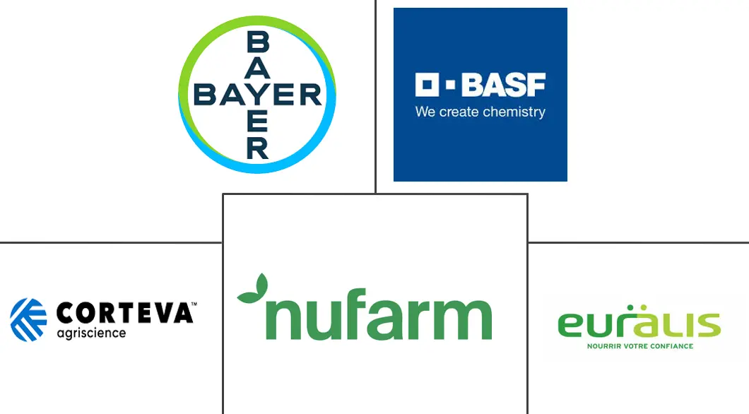 油菜种子市场规模和份额