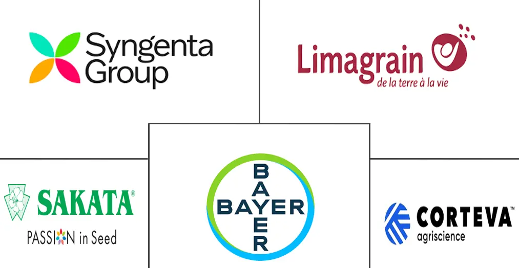 南非种子市场规模和份额