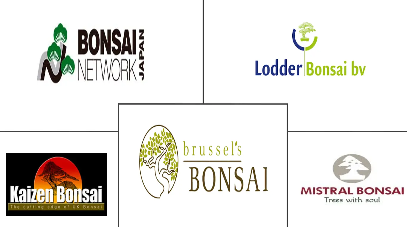 盆景市场规模和份额