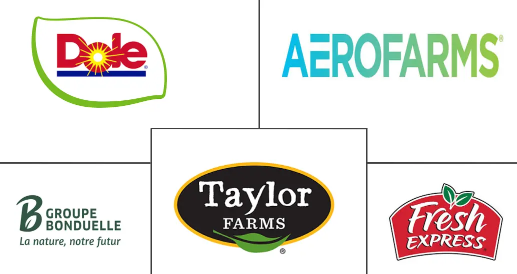 绿叶蔬菜市场规模和份额