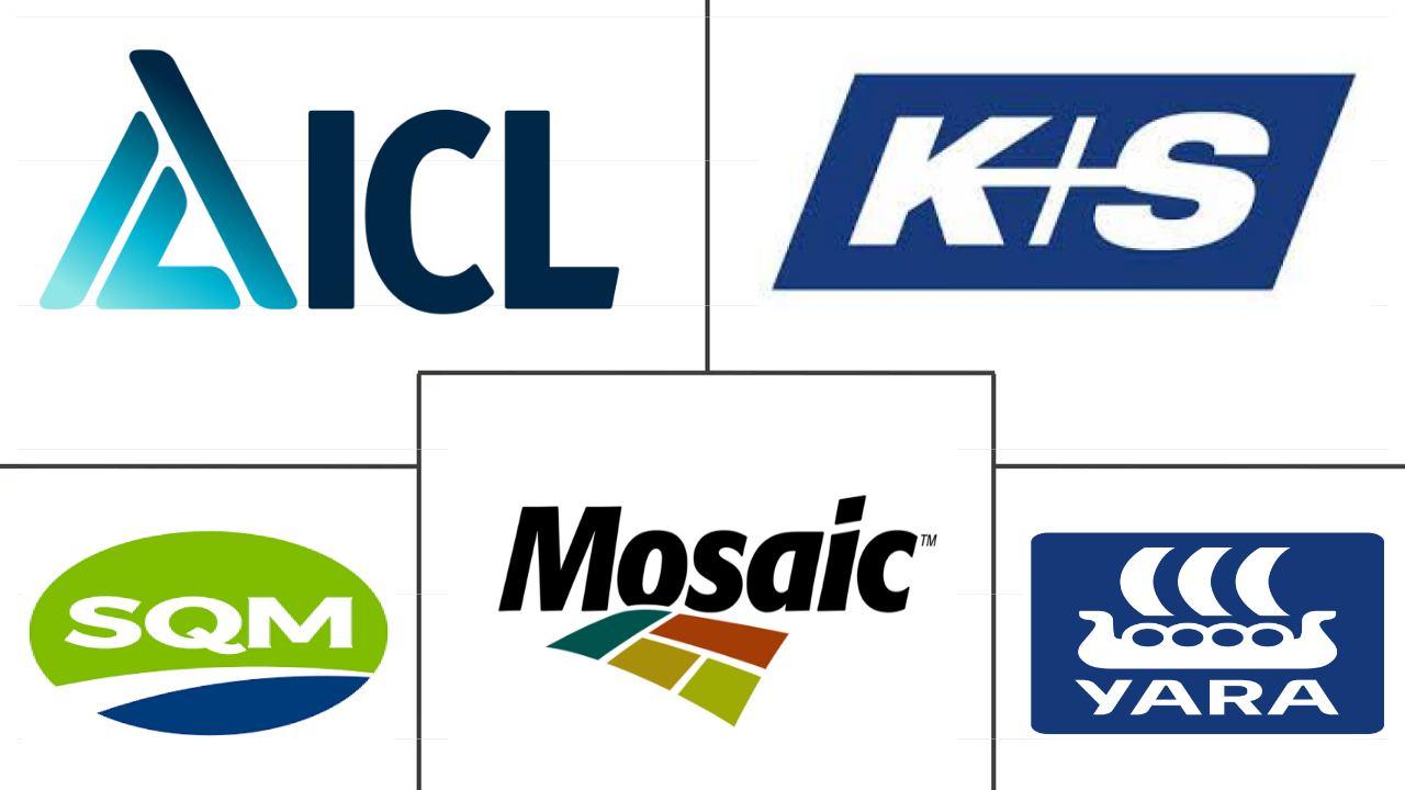 南美特种肥料市场规模