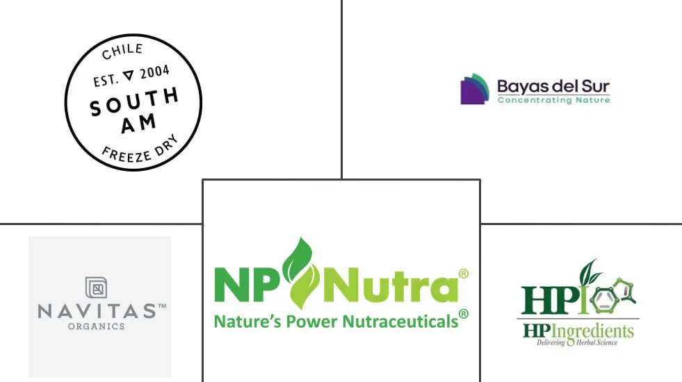 马基浆果市场规模和份额