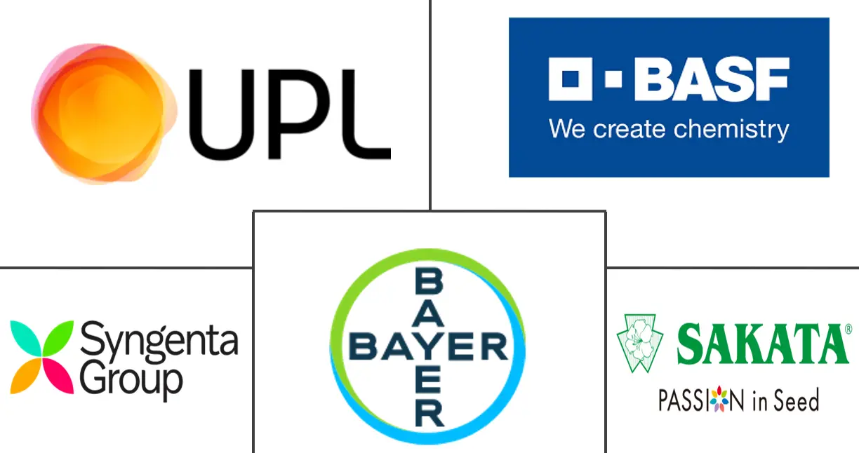 西瓜种子市场规模和份额