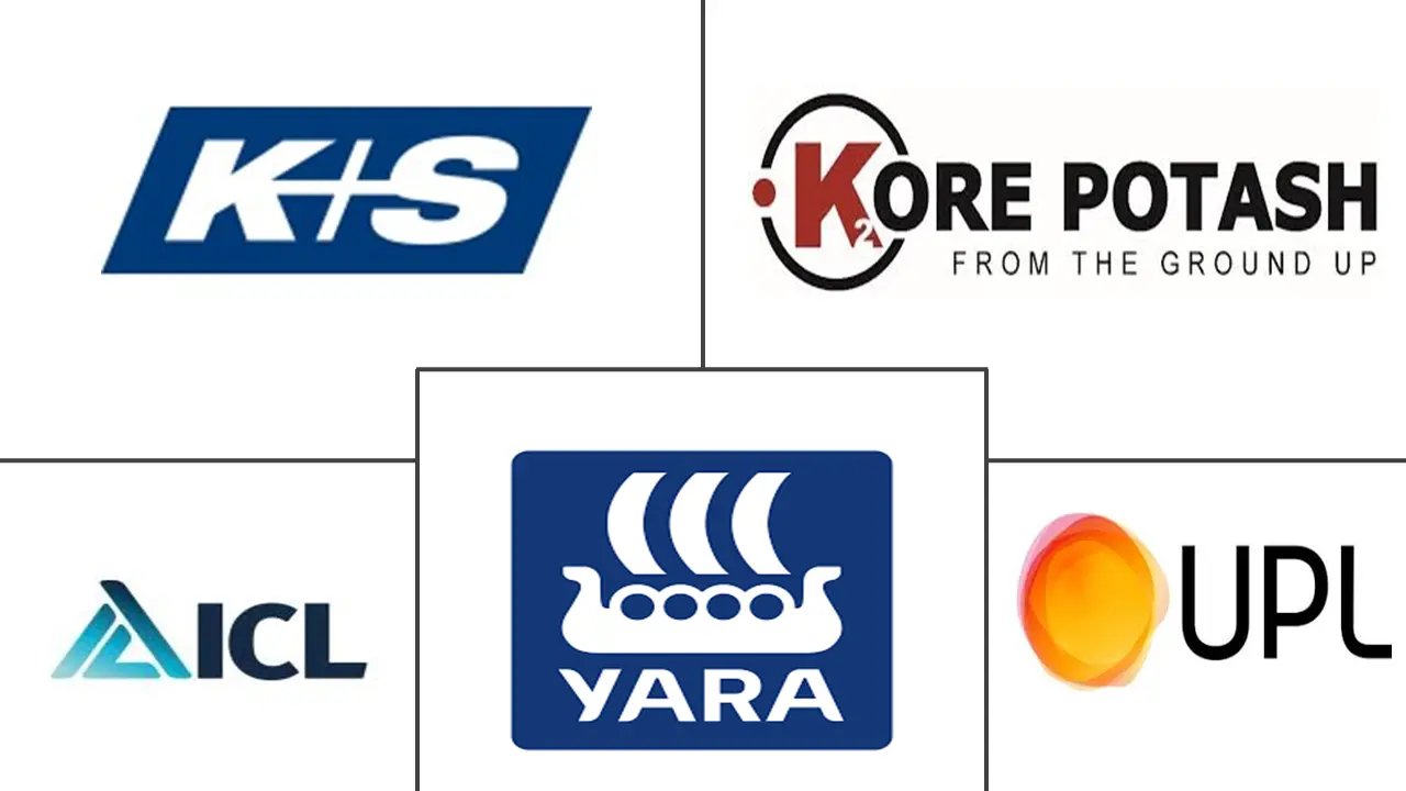 非洲钾肥市场规模