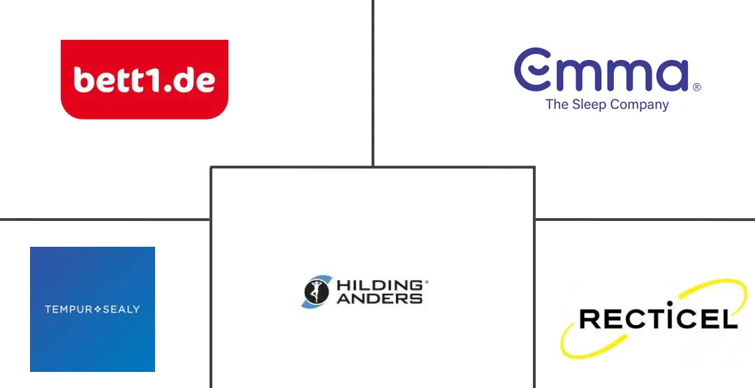 德国床垫市场规模及份额