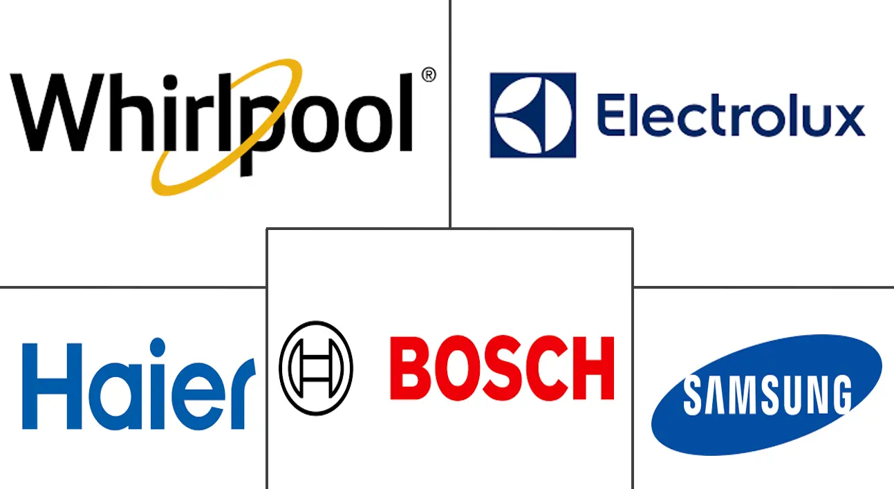 阿联酋洗衣设备市场规模