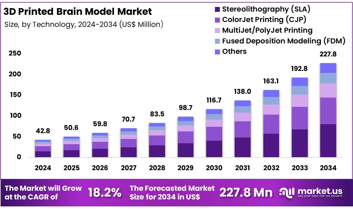 3D打印大脑模型市场(2025-2034)