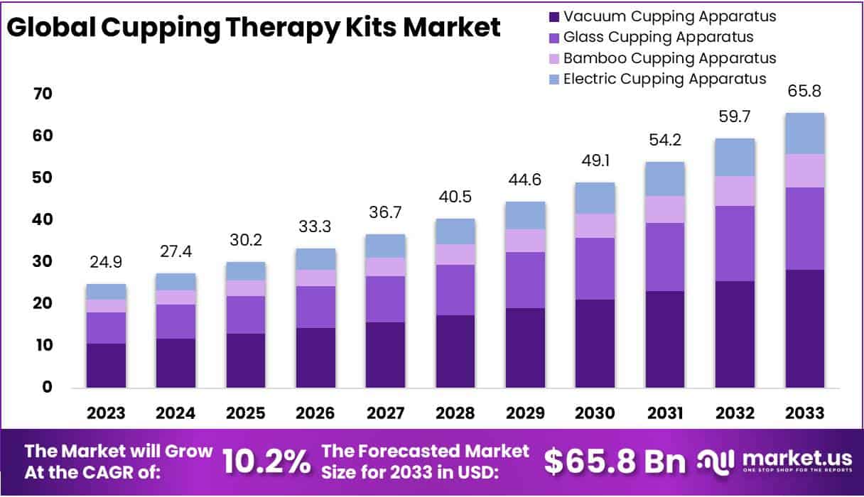 拔罐治疗套件市场(2024-2033)
