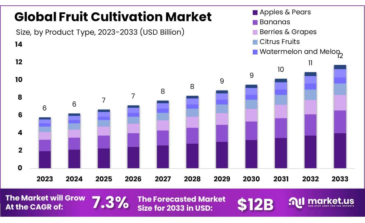 水果种植市场(2024-2033)