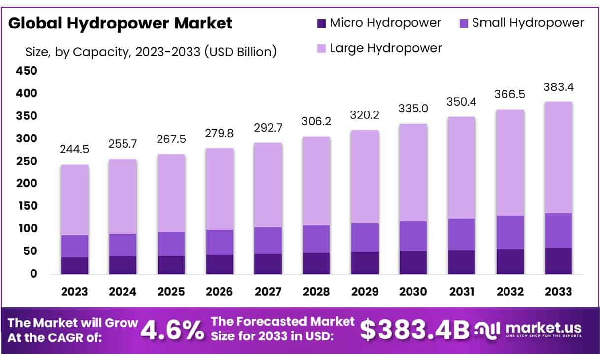 水电市场(2024-2033)