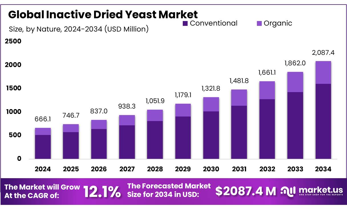 干酵母市场不活跃(2025-2034)