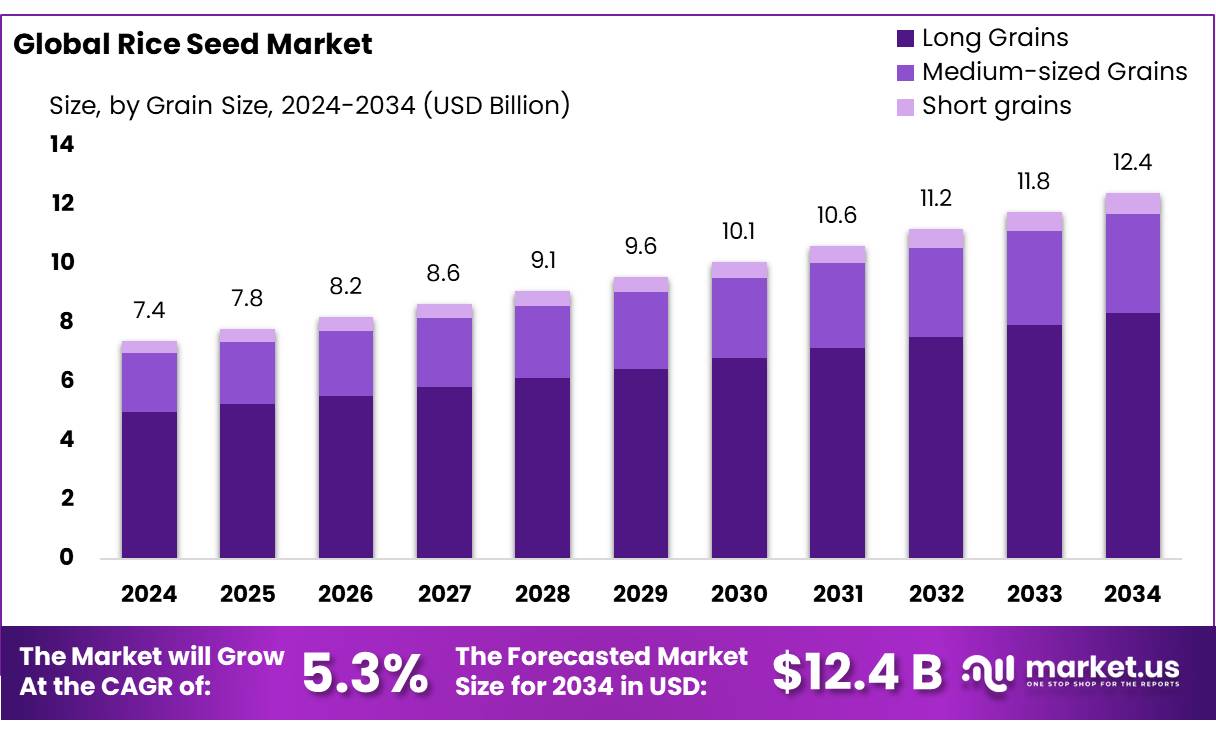 水稻种子市场(2025-2034)