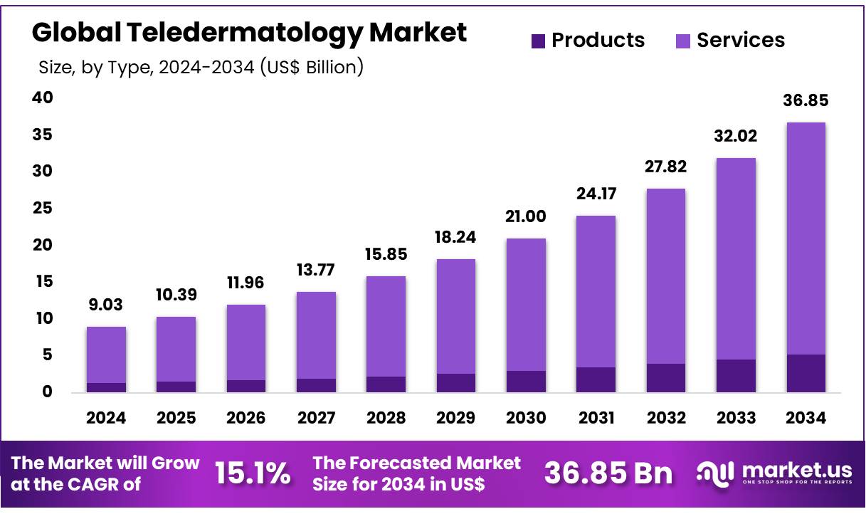 远程皮肤科市场(2025-2034)