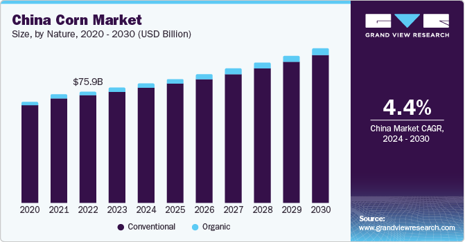 玉米市场（2024 - 2030）