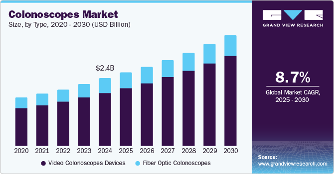 结肠镜市场（2025 - 2030）