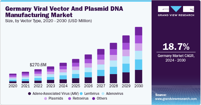 欧洲病毒载体和质粒 DNA 制造市场（2024 - 2030）