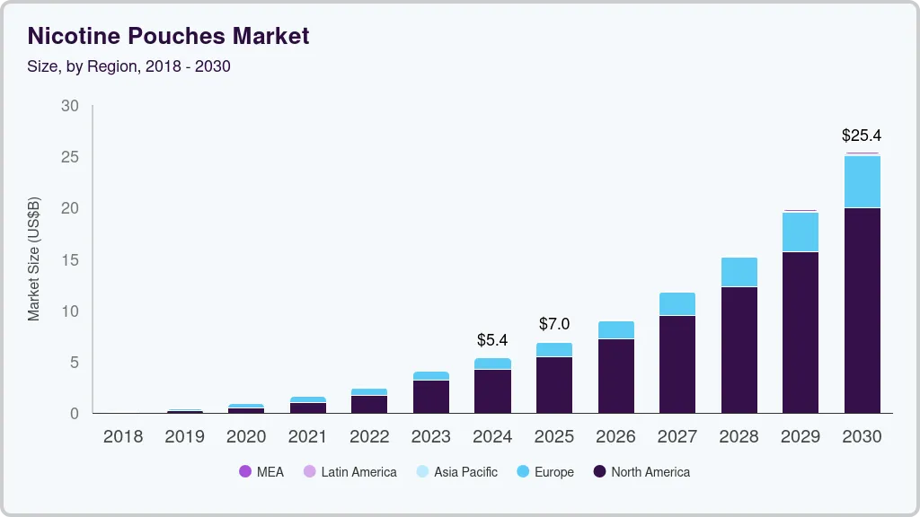 尼古丁袋市场 (2025 - 2030)