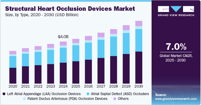 结构性心脏封堵装置市场（2025 - 2030）