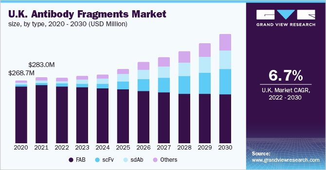 抗体片段市场（2022 - 2030）